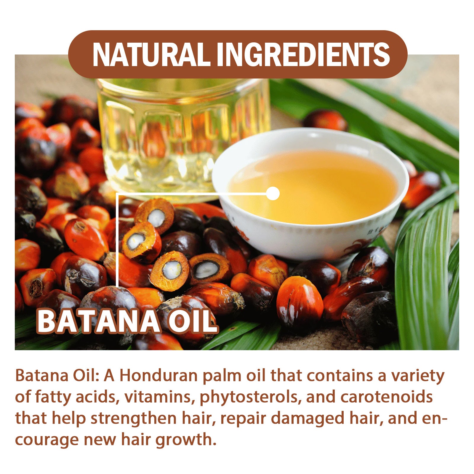 Auralis™ Batana Oil Conditioner